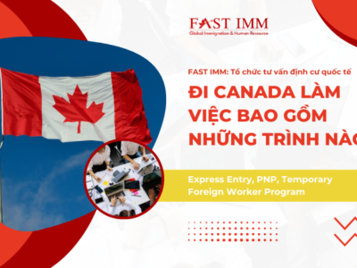 Đi Canada làm việc bao gồm những trình nào?